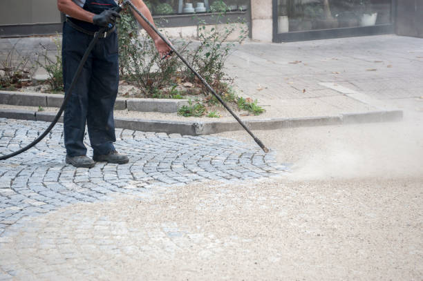 Best Roof Washing  in Visalia, CA