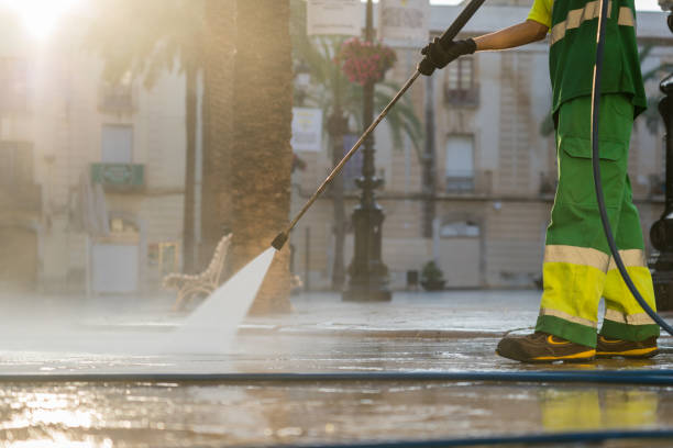Best Soft Washing  in Visalia, CA